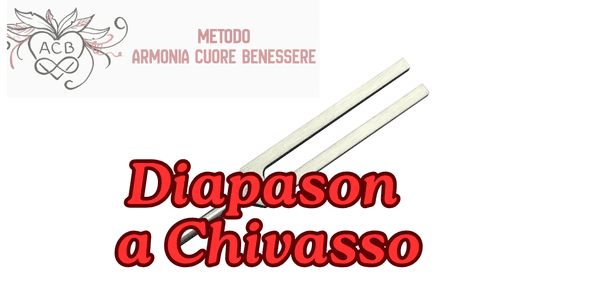 Diapason a Chivasso Diapason a Chivasso